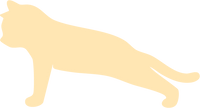 Marquee Icon